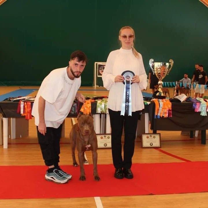 European dog Judge Veronika Voitovska