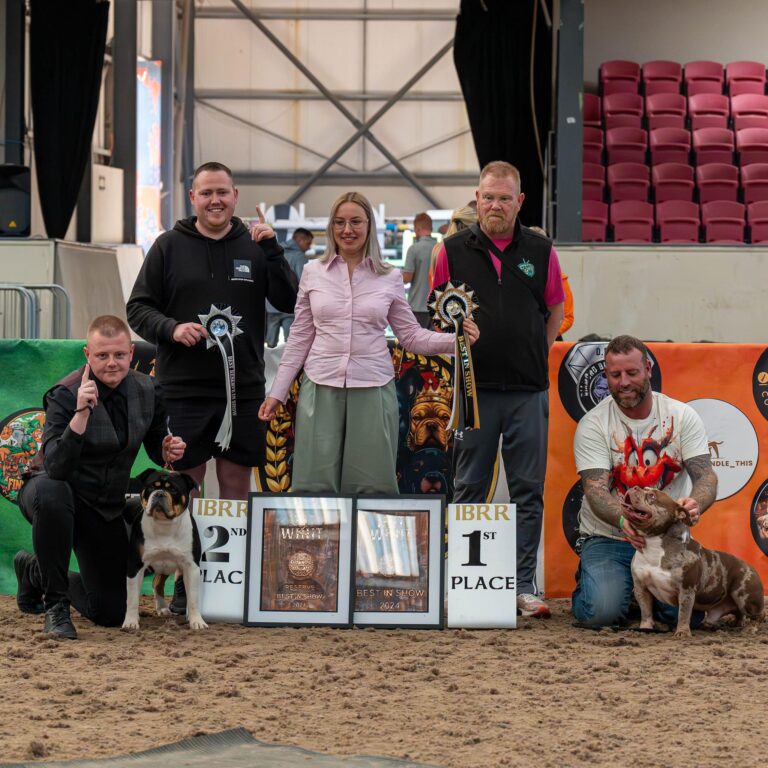 Dog show judge Veronika Voitovska Dognik Bulls