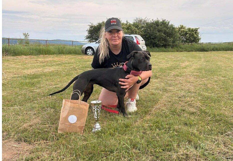 American pitbull terrier Dognik Bulls Hell's Hayley. Living in Czech Republic