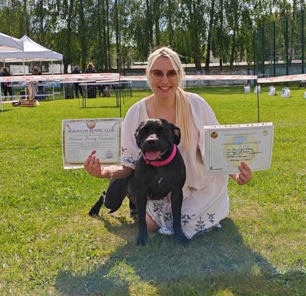 зоопсихолог онлайн Veronika Voitovska