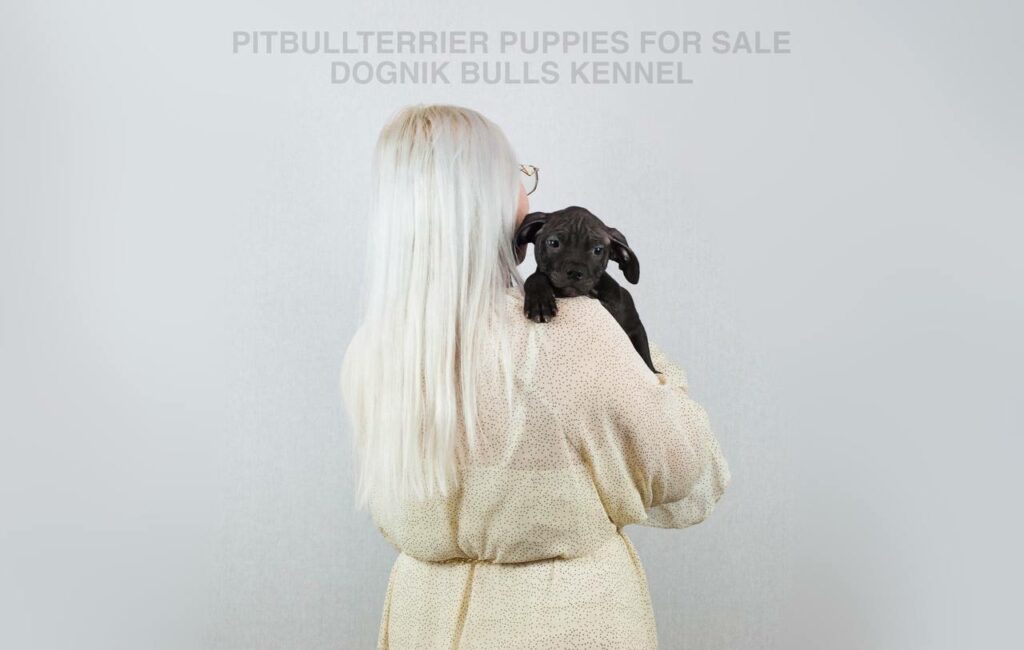 Black Pitbull puppy resting on woman’s shoulder