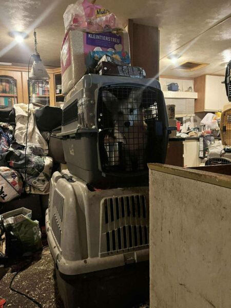 FCI registration is not a guarantee of quality. Everything depends on the breeder