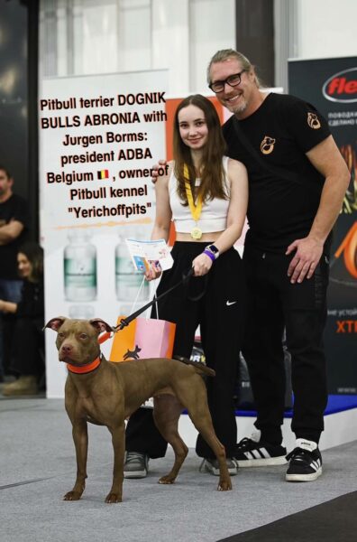American pitbull terrier Belgium. ADBA president Belgium- Jurgen Borms with pitbull Dognik Bulls Abronia. ADBA pitbull Belgium