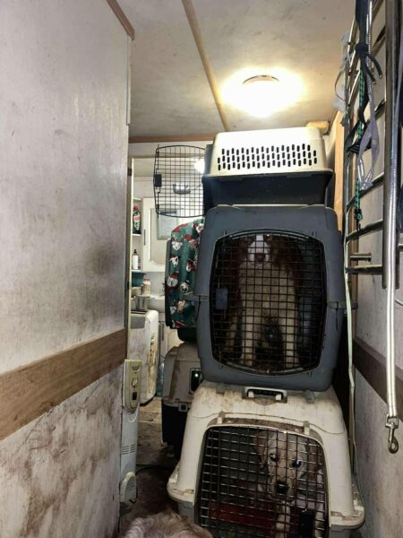 FCI registration is not a guarantee of quality. Everything depends on the breeder