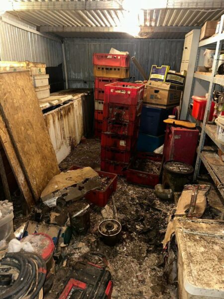 FCI registration is not a guarantee of quality. Everything depends on the breeder