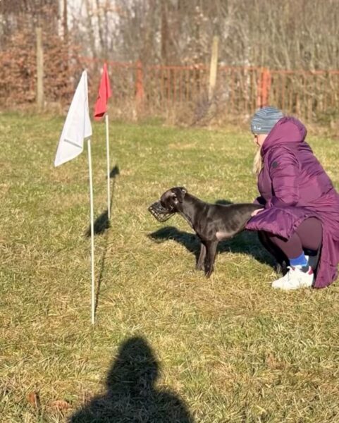 International APBT case: Czech Republic (2024)