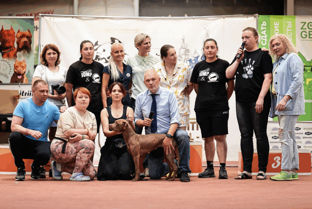 American pitbull terrier Dognik Bulls Abronia on speciality dog show "Golden Cup-2026". Judge- Radek Krystof
